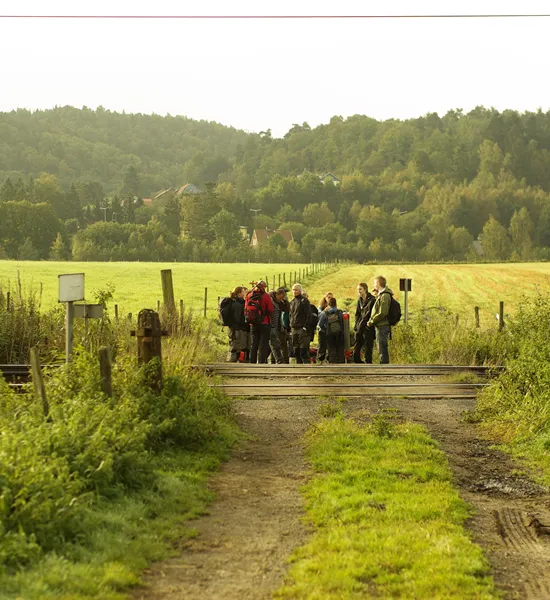 Skolklass Spår